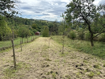 Prodej domu, 116 m2, Kyjov