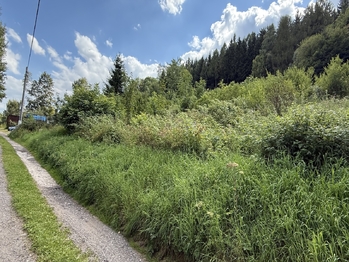 Prodej pozemku, 902 m2, Radvanice