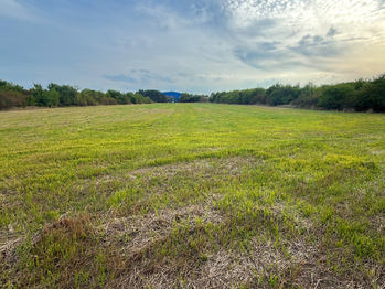 Prodej pozemku, 11683 m2, null