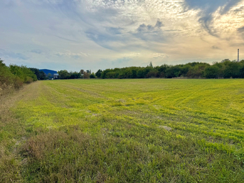 Prodej pozemku, 11683 m2, null