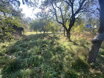 Prodej pozemku, 702 m2, Stráž nad Ohří