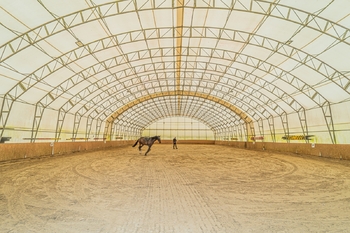 Prodej domu, 740 m2, Chlumín