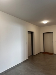 Pronájem bytu 1+kk v osobním vlastnictví, 62 m2, Hluboká nad Vltavou