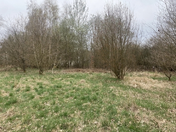 Prodej pozemku, 1115 m2, Neveklov