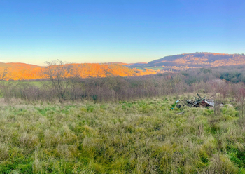 Prodej pozemku, 2155 m2, Králův Dvůr