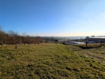 Prodej pozemku, 1754 m2, Viničné Šumice