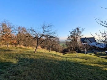 Prodej pozemku, 1754 m2, Viničné Šumice