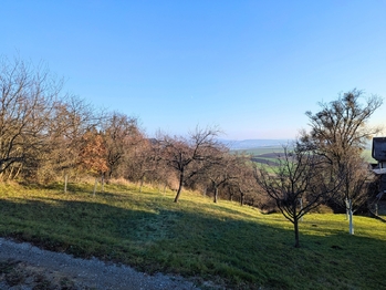 Prodej pozemku, 1754 m2, Viničné Šumice