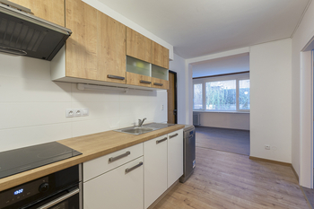 Pronájem bytu 6+1 v osobním vlastnictví, 220 m2, Praha 8 - Kobylisy