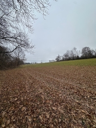 Prodej pozemku, 7410 m2, Střížov