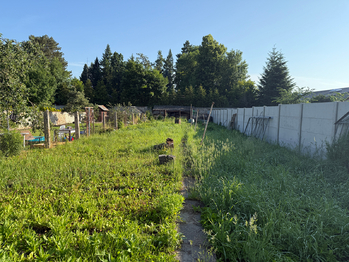 Prodej domu, 90 m2, Vodňany