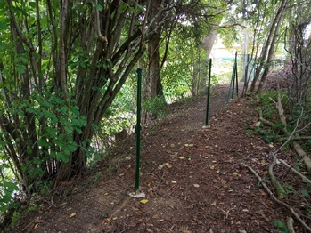 Prodej pozemku, 1800 m2, Blažejovice