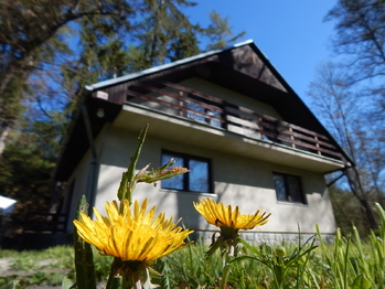 Prodej chaty / chalupy, 45 m2, Kožlany