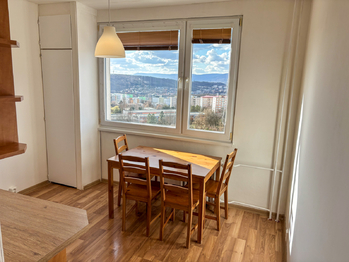 Pronájem bytu 1+1 v osobním vlastnictví, 42 m2, Ústí nad Labem