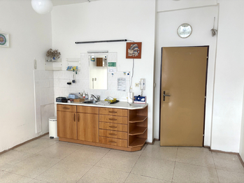 Pronájem komerčního objektu, 1606 m2, Praha 6 - Bubeneč