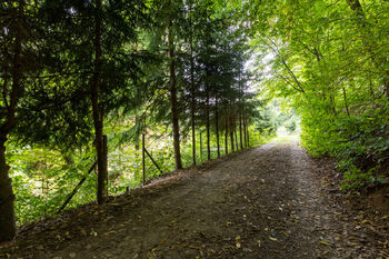 Prodej pozemku, 1234 m2, Vlkančice