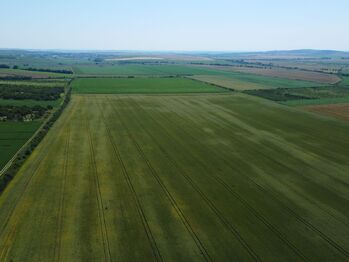 Prodej pozemku, 11875 m2, Hustopeče