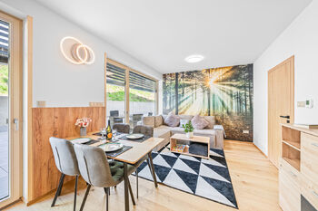 Pronájem bytu 2+kk v osobním vlastnictví, 43 m2, Železná Ruda