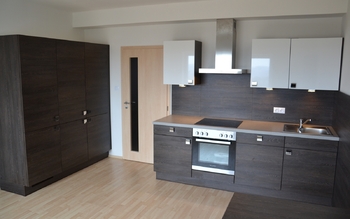 Pronájem bytu 1+kk v osobním vlastnictví, 32 m2, Plzeň