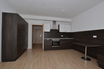 Pronájem bytu 1+kk v osobním vlastnictví, 32 m2, Plzeň