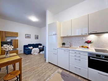 Pronájem bytu 1+kk v osobním vlastnictví, 30 m2, Suchdol nad Lužnicí