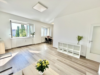 Pronájem bytu 2+kk v osobním vlastnictví, 60 m2, Praha 7 - Holešovice