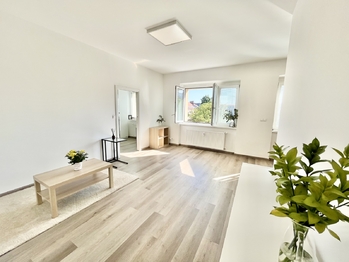 Pronájem bytu 2+kk v osobním vlastnictví, 60 m2, Praha 7 - Holešovice