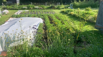 Prodej pozemku, 1533 m2, Kamenice