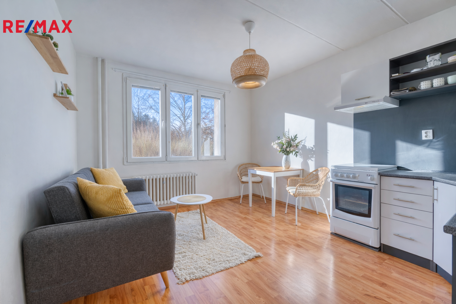 Prodej bytu 1+1 v osobním vlastnictví, 35 m2, Plzeň