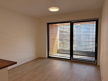 Pronájem bytu 1+kk v osobním vlastnictví, 30 m2, Praha 3 - Žižkov