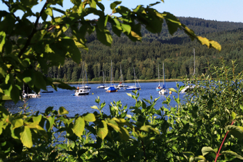 Prodej pozemku, 2890 m2, Přední Výtoň