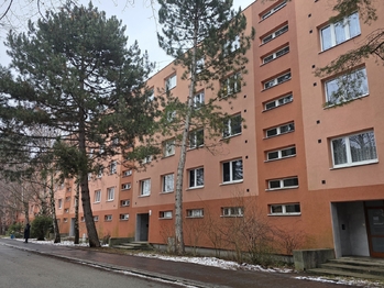Pronájem bytu 2+1 v osobním vlastnictví, 54 m2, Brno