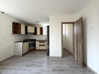 Prodej bytu 1+1 v osobním vlastnictví, 50 m2, Benátky nad Jizerou