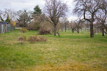 Prodej pozemku, 2410 m2, Brno