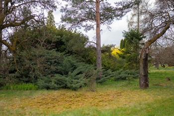 Prodej pozemku, 2410 m2, Brno