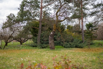 Prodej pozemku, 2410 m2, Brno