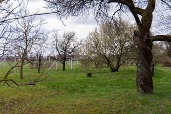 Prodej pozemku, 2410 m2, Brno