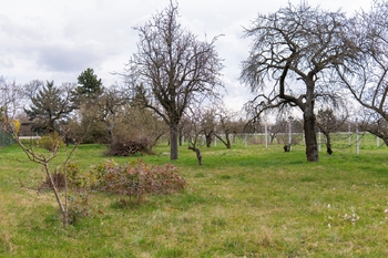 Prodej pozemku, 2410 m2, Brno
