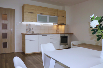 Pronájem bytu 1+kk v osobním vlastnictví, 27 m2, Plzeň