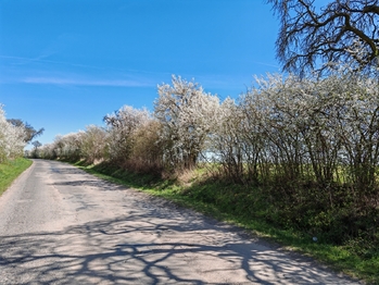 Prodej pozemku, 6432 m2, Úvaly