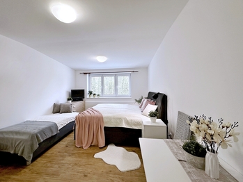 Prodej bytu 1+kk v osobním vlastnictví, 26 m2, Lipno nad Vltavou