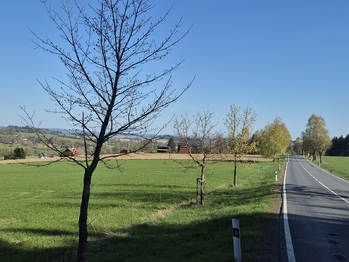 Prodej pozemku, 7429 m2, Borová
