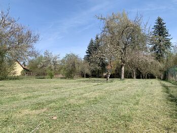 Prodej domu, 90 m2, Pšovlky