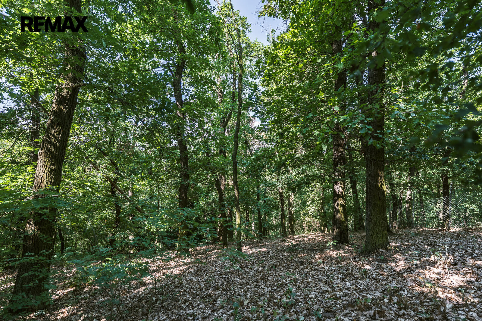 Prodej chaty, 24 m2, Zdiby
