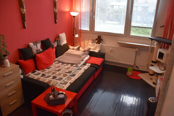 Pronájem bytu 1+kk v osobním vlastnictví, 24 m2, Brno