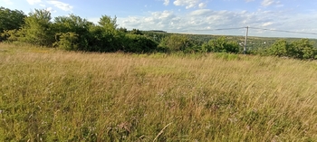 Prodej pozemku, 730 m2, Želešice