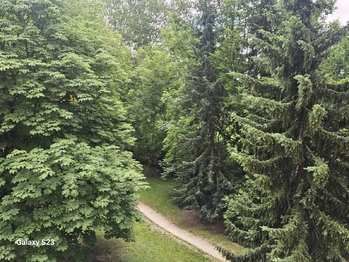 Prodej bytu 3+1 v osobním vlastnictví, 70 m2, Brno