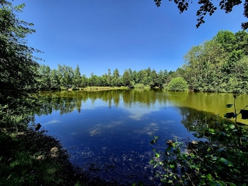 Prodej pozemku, 8425 m2, Obruby