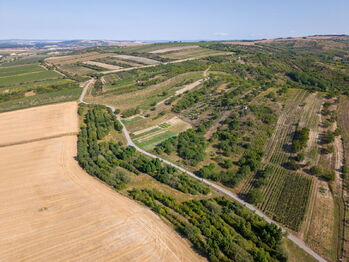 Prodej pozemku, 1720 m2, Hustopeče