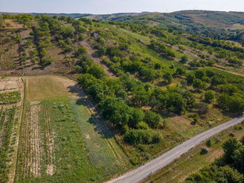 Prodej pozemku, 1720 m2, Hustopeče